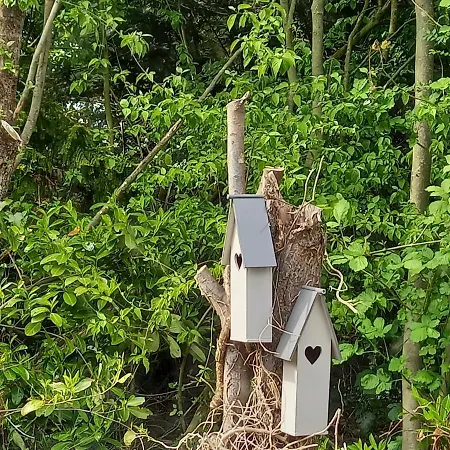 Natuurhuisje Eartswoud *