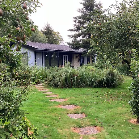 Feriehus Natuurhuisje Eartswoud