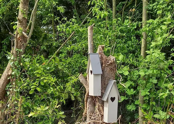 Natuurhuisje Eartswoud *