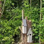 Natuurhuisje Eartswoud *